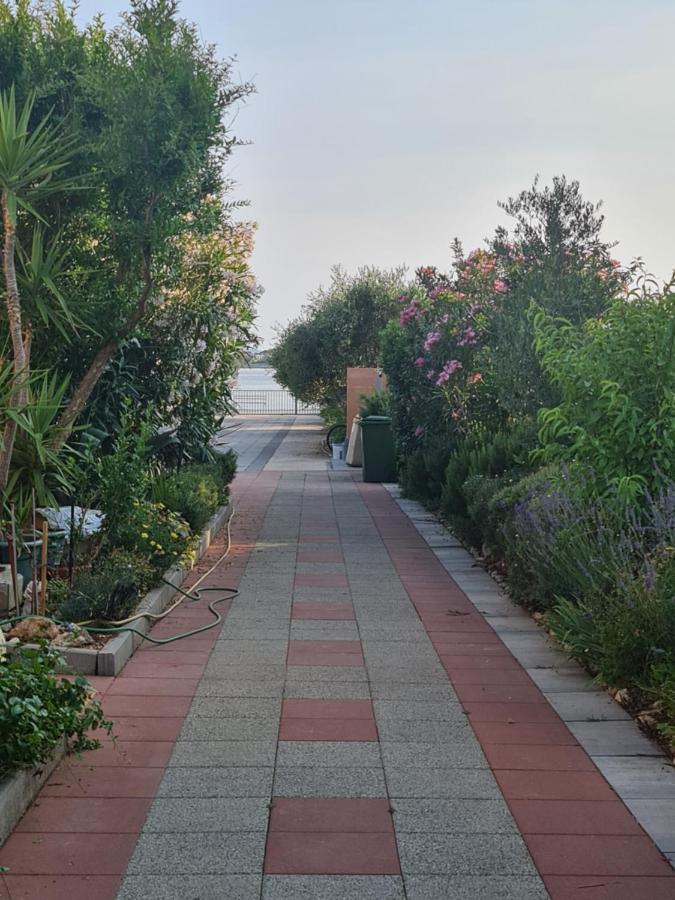 Apartmani Jadro Vir Bagian luar foto